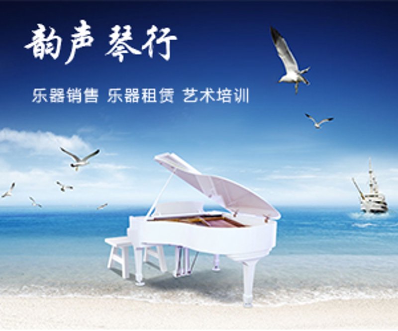 在众多乐器品牌中,哪个品牌最值得信赖?让我们通过对比分析来揭晓答案。